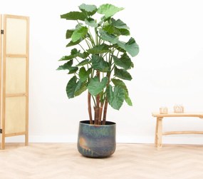 Kunstplant Alocasia Calidora - 210cm