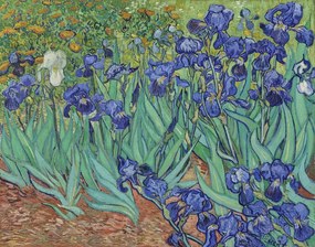 Kunstreproductie Irissen, Vincent van Gogh