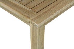 Dining Tuintafel Rechthoekig 300 x 90 cm Old teak greywash Weston