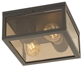 Plafondlamp zwart met smoke glas 2-lichts IP44 - Charlois