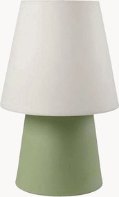 Dimbare in- & outdoor LED decoratieve lamp No. 1