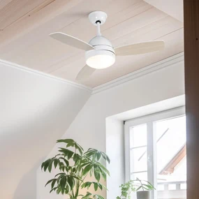 Plafondventilator met lamp wit met afstandsbediening - Rotar Modern E27 rond Binnenverlichting Lamp