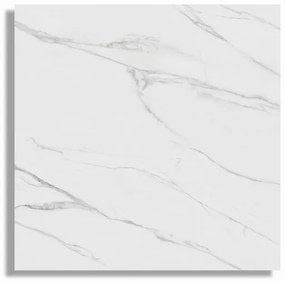 Gepolijste Vloertegel 60x60 Cm Marmerlook Nepals Wit R72