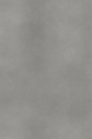 KS Vinyl wandpaneel 60x260cm leigrijs