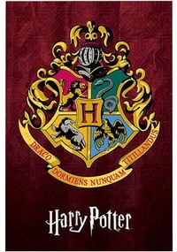 Posters Multicolour Harry Potter  TA4109