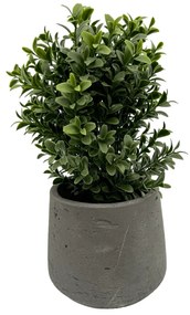 Buxus plant Kunstplant - 20 cm
