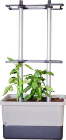 Gusta Garden CHARLY CHILI - peperkweekpot met waterreservoir en klimsteun - lichtgrijs