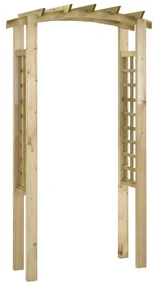 vidaXL Tuinboog 110x60x220 cm geïmpregneerd massief grenenhout