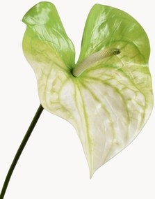 Kunstbloemen Anthurium, 2-delig
