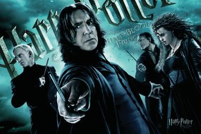 Kunstafdruk Harry Potter - Followers of Voldemort