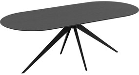 Goossens Excellent Eettafel Uniek, Semi rond 260 x 100 cm