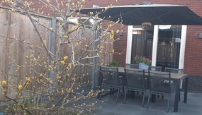 Manifesto Rivola dining tuinstoel