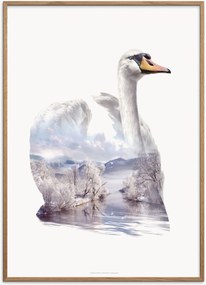 Ingelijste poster Swan van eikenhout
