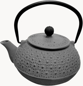 Theepot Basic van gietijzer