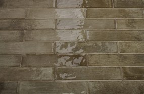 DTG Brunei tegelstroken 6.5x25cm bruin groen