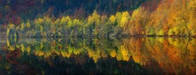 Kunstfotografie Autumnal silence, Burger Jochen, (60 x 23.2 cm)