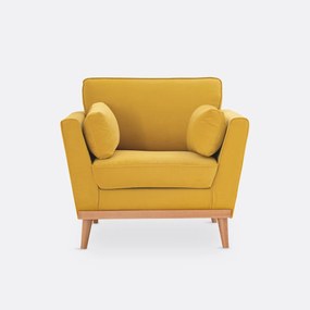 Fauteuil in fluweel, Tasie