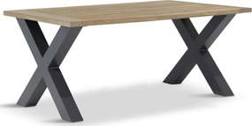 Dining Tuintafel rechthoekig 180 x 100 cm Grijs Cardiff