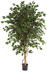 kunstplant Ficus Exotica - 180 cm