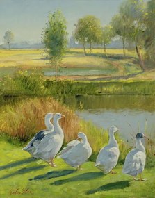 Kunstreproductie Gooseguard, Timothy Easton