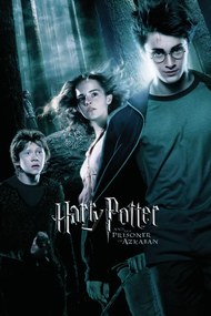 Kunstafdruk Harry Potter - Prisoner of Azkaban, (26.7 x 40 cm)