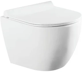 QeramiQ Salina Compact wandcloset - Spoelrandloos - 49cm - softclose zitting - wit 73173007