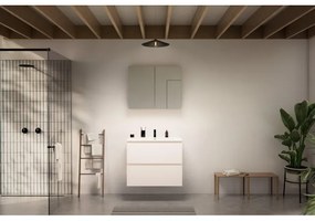 Go by Van Marcke badkamermeubelset - 80x65x45.5cm - 2 lades - greeploos - 1 wasbak wit mat - 1 kraangat - met spiegelkast - MDF standard white SW646687 - SW404481 - SW452451 - SW452204