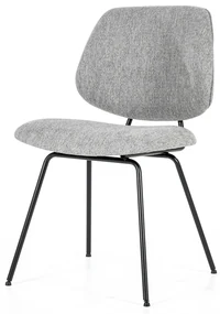Eleonora Lynn Grijze Eetkamerstoel Modern
