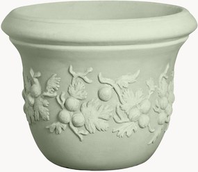 Plantenbak Uva Spina