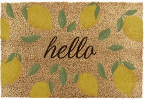 Deurmat Hello Lemons