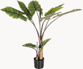 Kunstplanten Dieffenbachia, 2-delig