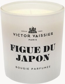 Geurkaars Figue Du Japon (zwarte vijg & vetiver)