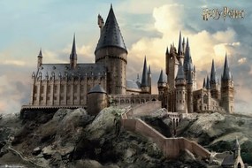 Poster Harry Potter - Een dag op Zweinstein, (91.5 x 61 cm)