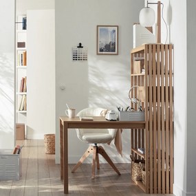 Omkeerbaar bureau boekenkast, Theonie