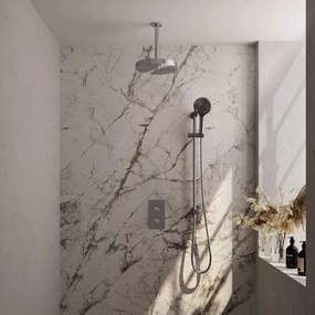 Brauer Stripe inbouw regendouche met 25cm hoofddouche, met plafondarm, glijstang en 3 standen handdouche set 24 RVS geborsteld PVD
