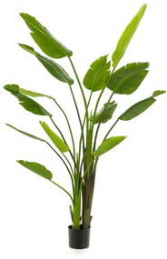 Kunstplant Strelitzia Nicolai - 180 cm
