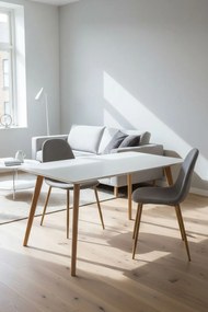 Rechthoekige tafel Synk 120 x 80 cm