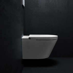 Clou Clever douche wc met turboflush en softclose zitting wit glans