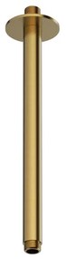 Hotbath Ace Plafondbuis - 30cm - rond - Geborsteld Messing PVD AC453BBP