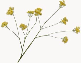 Handgemaakte kunsttakken Queen An Lace, 3-delig