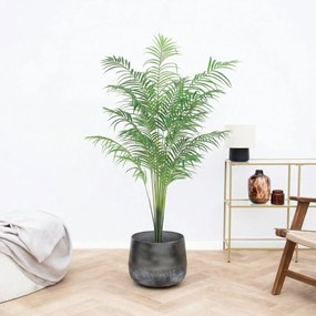 Kunst Kentia palm - 170cm