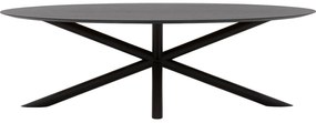 Goossens Excellent Eettafel Gs-1302, Ovaal 240 x 130 cm