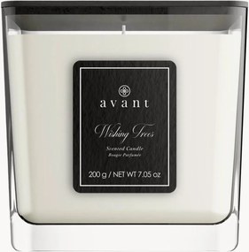 Geurkaars Wishing Trees (bergamot, wilde bloemen en zwarte bes)