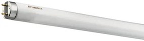Sylvania 0000137 T8 Luxline Plus F14W/T8/840 F14W/T8/840