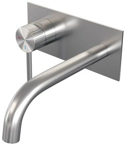 BRAUER Stripe Inbouw Wastafelmengkraan - gebogen uitloop en afdekplaat - model A2 - RVS-kleurig geborsteld PVD 5-NG-333