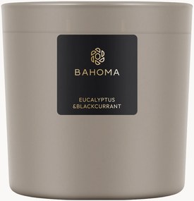 Handgemaakte 3-lonts geurkaars Eucalyptus & Zwarte Bessen (Freesia, Gardenia, Muskus)