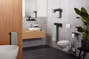 Haceka Aline toiletborstel zwart