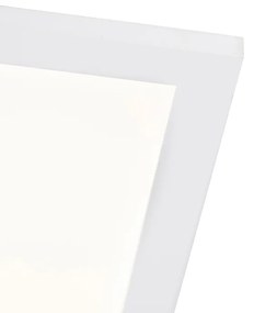LED paneel staal 120 cm incl. LED met afstandsbediening - Liv Modern Binnenverlichting Lamp