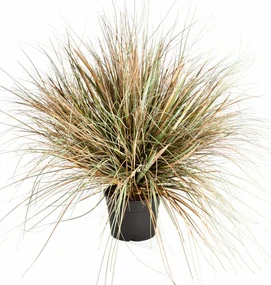 Kunstgras Onion Herfst - 70 cm