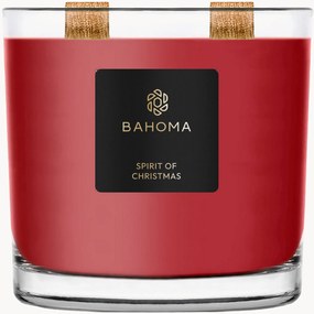 Handgemaakte 2-lonts geurkaars Sprit of Christmas (cassis, kruidnagel & amber)